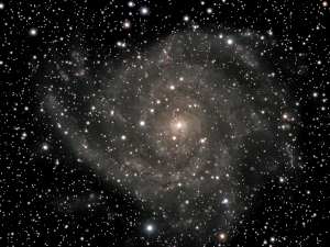 ic342 mn76 asi585air behB